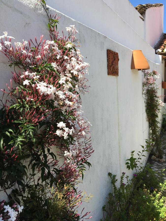 Casa Da Galega Golegã Exterior foto